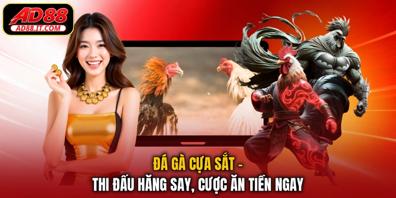 Đá Gà Cựa Sắt - Thi Đấu Hăng Say, Cược Ăn Tiền Ngay