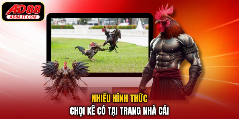 Nhiều hình thức chọi kê có tại trang nhà cái